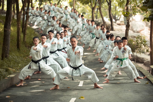 styles de Kung-fu
