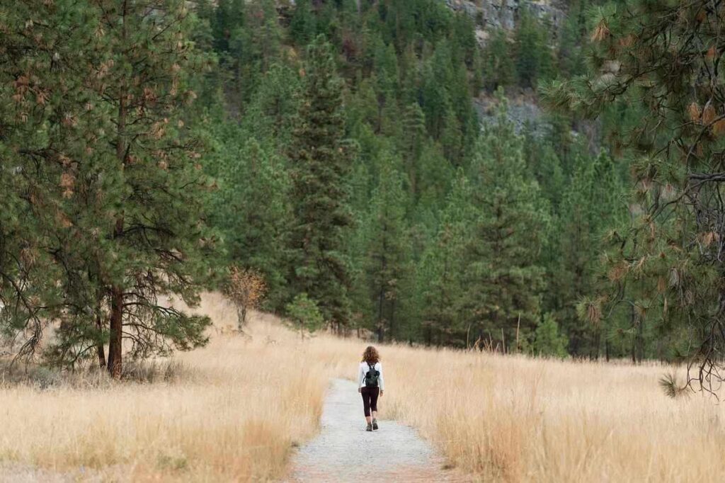 Femme en marchant dans un paysage rural avec des champs de blé et des arbres